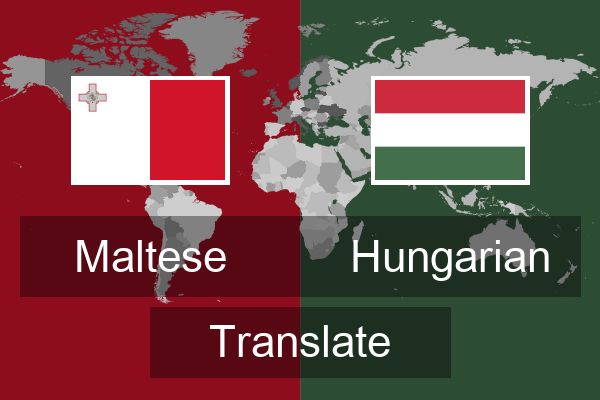  Hungarian Translate